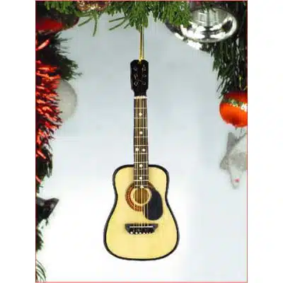 Music Guitar with Pick Guard