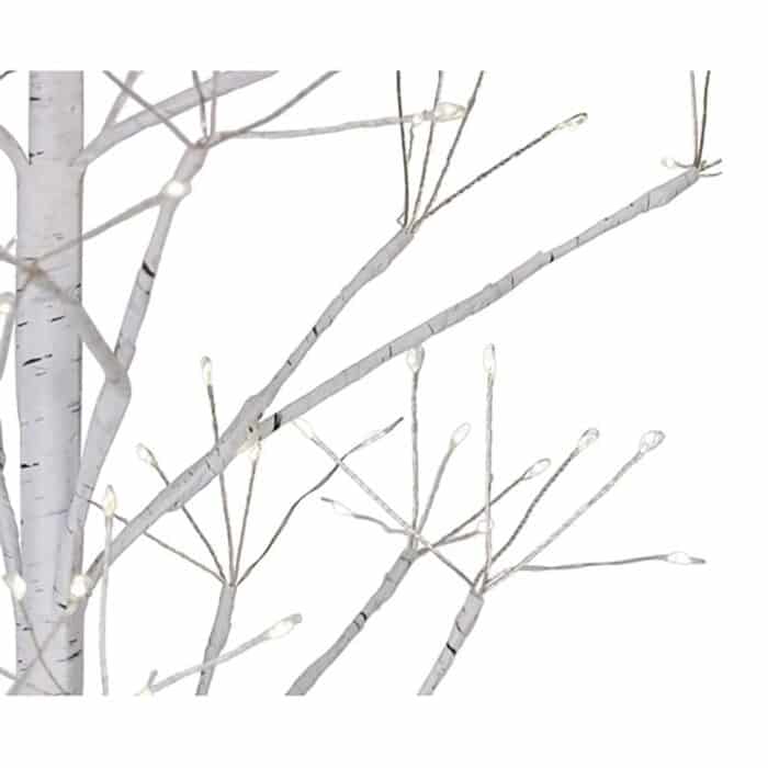 Birch Tree Eight Function Led Lights Close Up