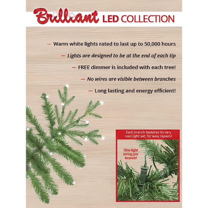 Grand Spruce Color Change Tree by St Nicks Descrip