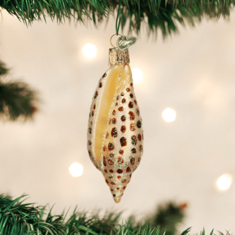 Old World Christmas Blown Glass Junonia Shell Ornament