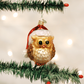 Old World Christmas Blown Glass Santa Owl Ornament