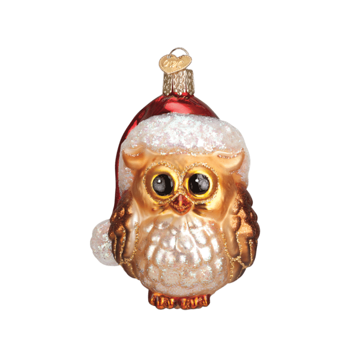 Old World Christmas Blown Glass Santa Owl Ornament