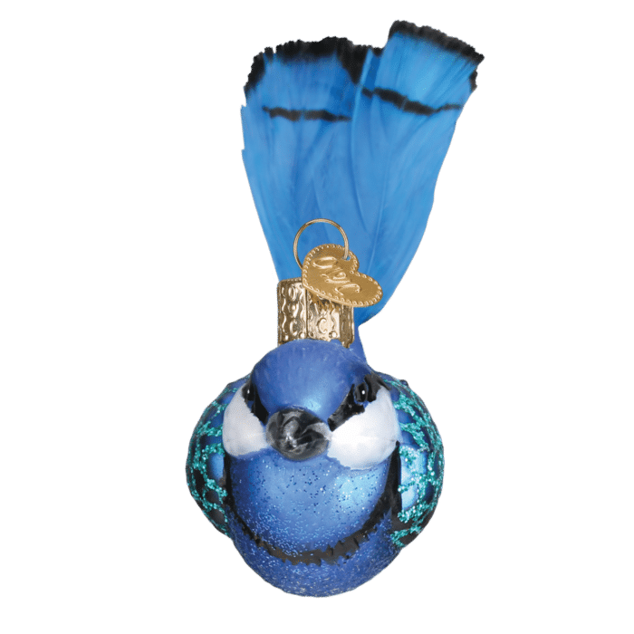 Old World Christmas Blown Glass Fairy Wren Ornament