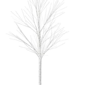White Tabletop Birch Tree