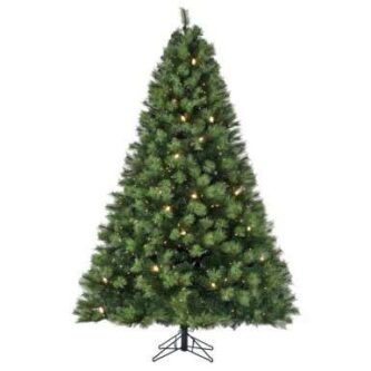 Scotch Pine Christmas Tree