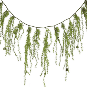 Mountain Pine Weeping Garland