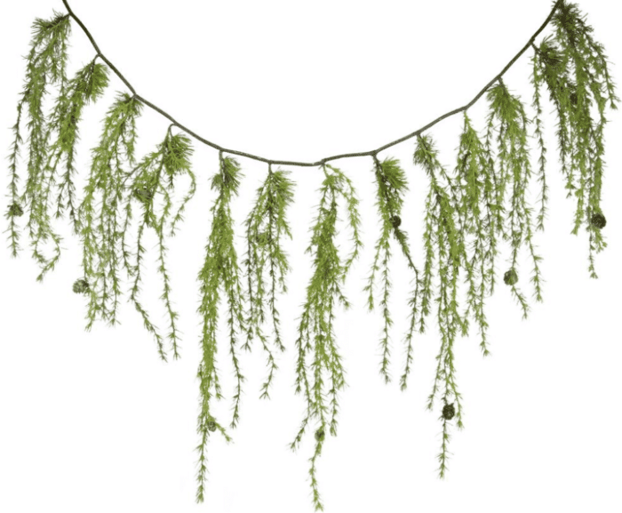 Mountain Pine Weeping Garland