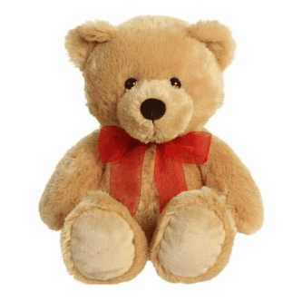 Nicky The Teddy Bear