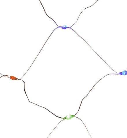 Dual Color LED Net-Style Light Set Warm White and Multi-Color