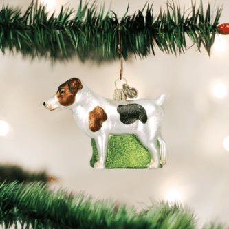 Jack Russell Terrier Ornament Old World Christmas