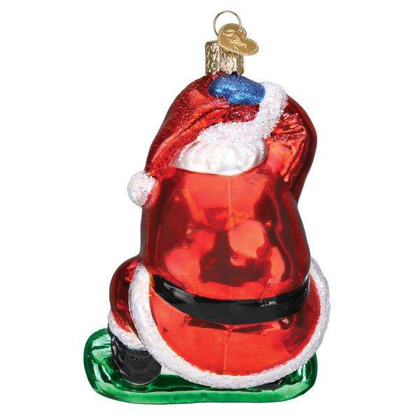 Old World Christmas Blown Glass Snowboarding Santa Ornament