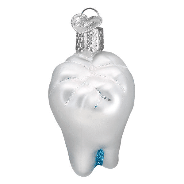 Old World Christmas Blown Glass Tooth Ornament