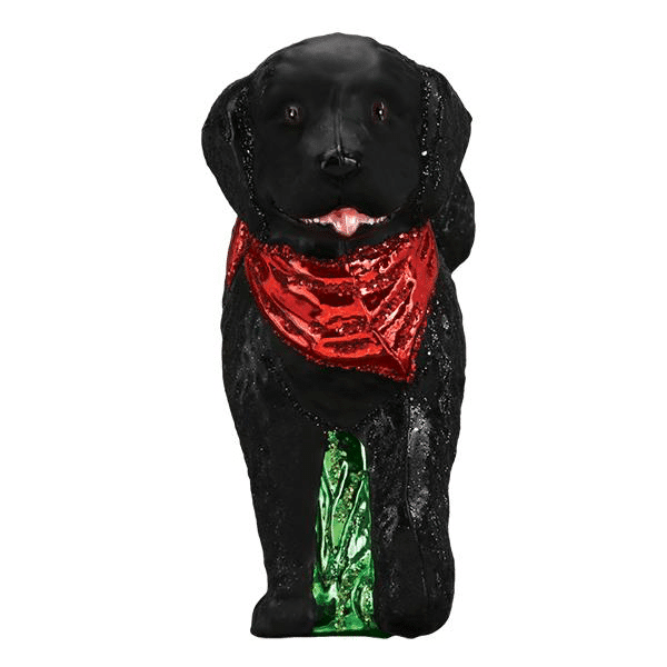 Old World Christmas Blown Glass Black Doodle Dog Ornament