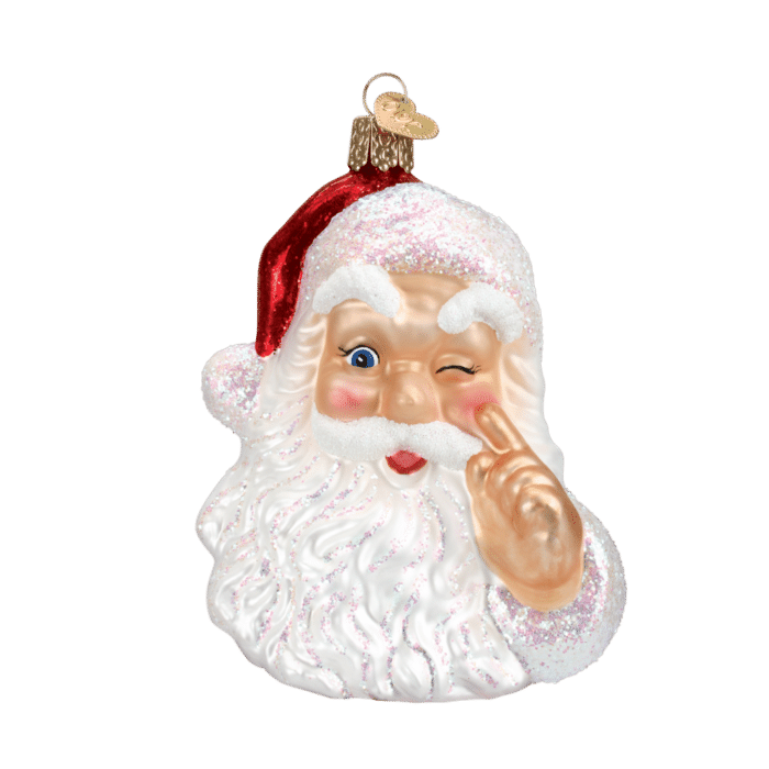 Old World Christmas Blown Glass Night Before Christmas Santa Ornament