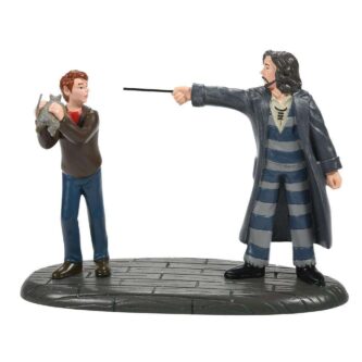 Come Out and Play, Peter! Dept. 56 Harry Potter™