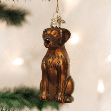 Labrador Retriever Ornament Old World Christmas Three Colors