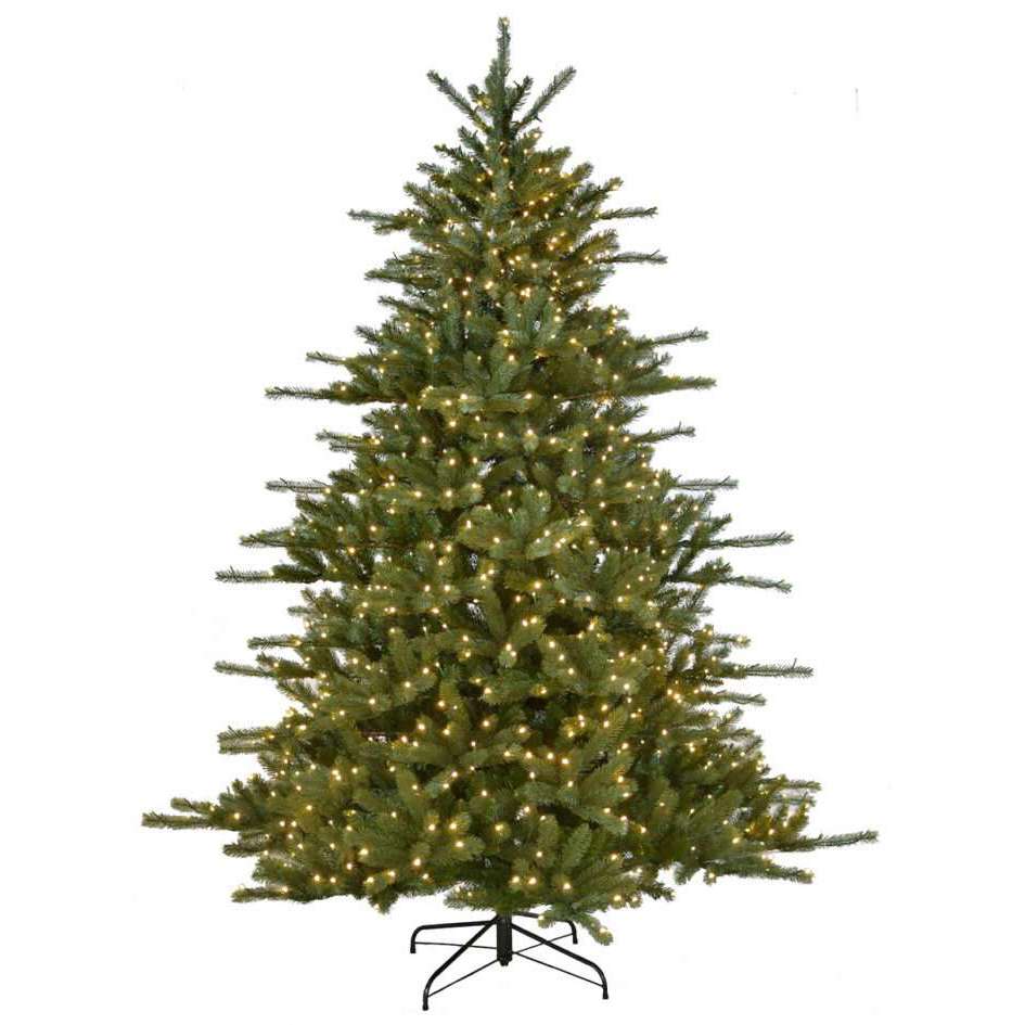 Grand Spruce Tree by St Nick's™️