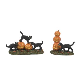 Scary Cats & Pumpkins Dept. 56 Halloween Village