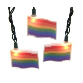 Pride Flag Light Set
