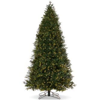 Carolina Fraser Fir Christmas Tree By St Nicks