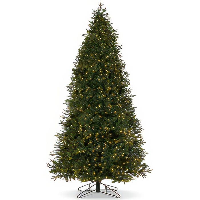 Carolina Fraser Fir Christmas Tree by St Nicks