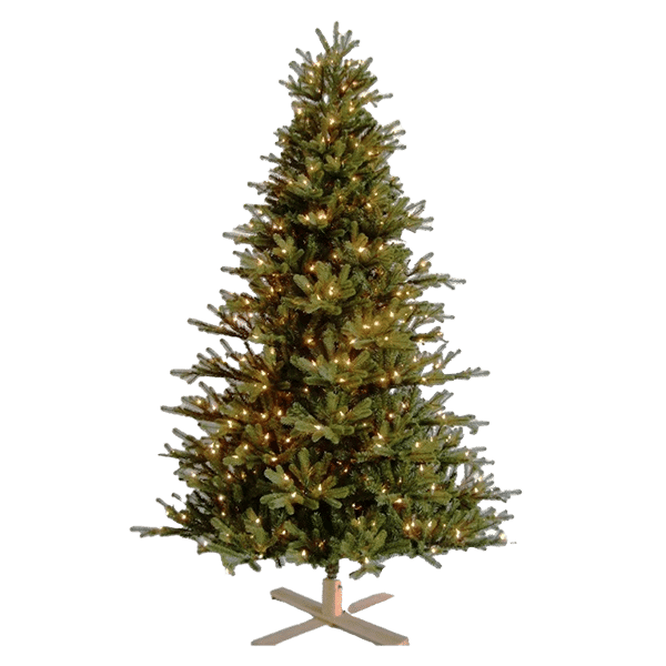 Carolina Fraser Fir Christmas Tree St Nicks™️