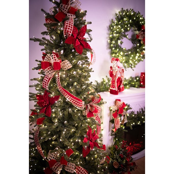 Carolina Fraser Fir Slender Christmas Tree St Nicks™️ Glam