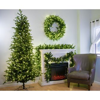 Carolina Fraser Fir Slender Christmas Tree St Nicks™️
