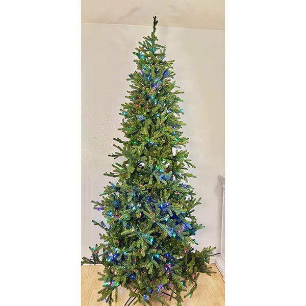 Rgb Slender Carolina Fraser Fir Christmas Tree St Nicks™️