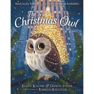 The Christmas Owl Book