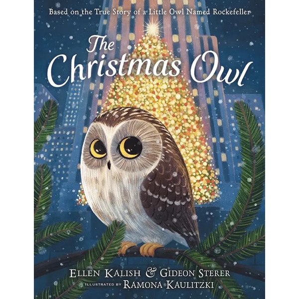 the Christmas Owl Book