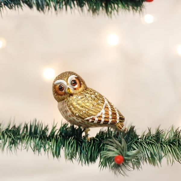 Pygmy Owl Ornament Old World Christmas