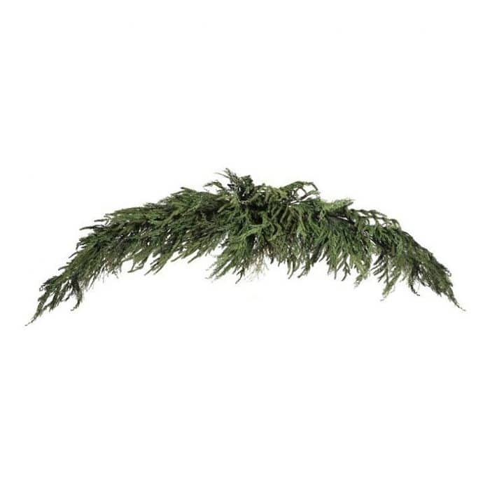 natural Touch Luxury Cyprus Norfolk Pine Swag Garland 72 gigapixel