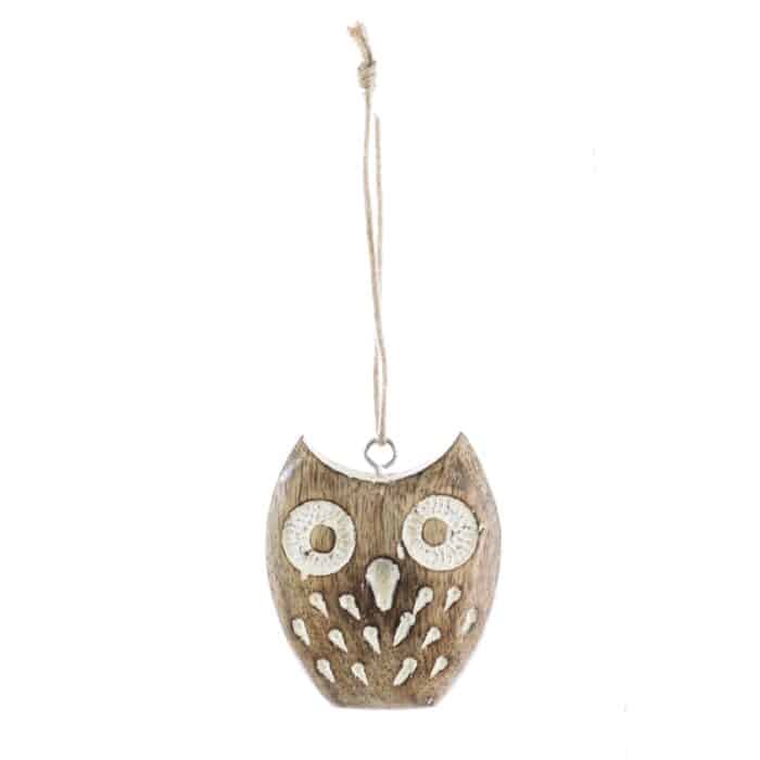 Obvious the Wide Eyed Owl Ornament