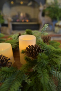 Norfolk Spruce Juniper Wreath