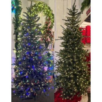 Slendar Grand Spruce-gigapixel-low resolution v2-6x