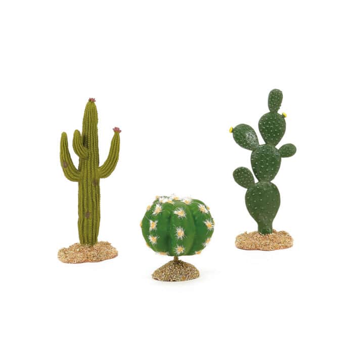 Canyon View Landscape Set Cross Product D56 New Cacti