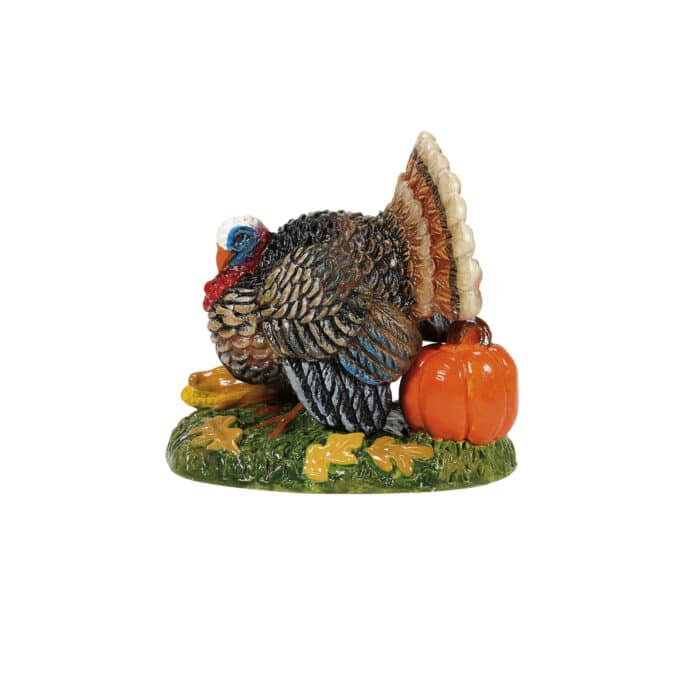 Tom Turkey Halloween Village D56 New