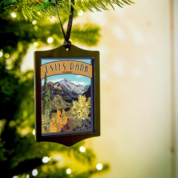 Estes Park Colorado Ornament by Julie Leidel