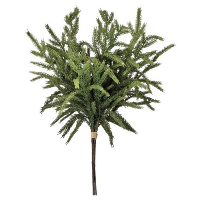 Natural Touch Norfolk Pine Bundle 17