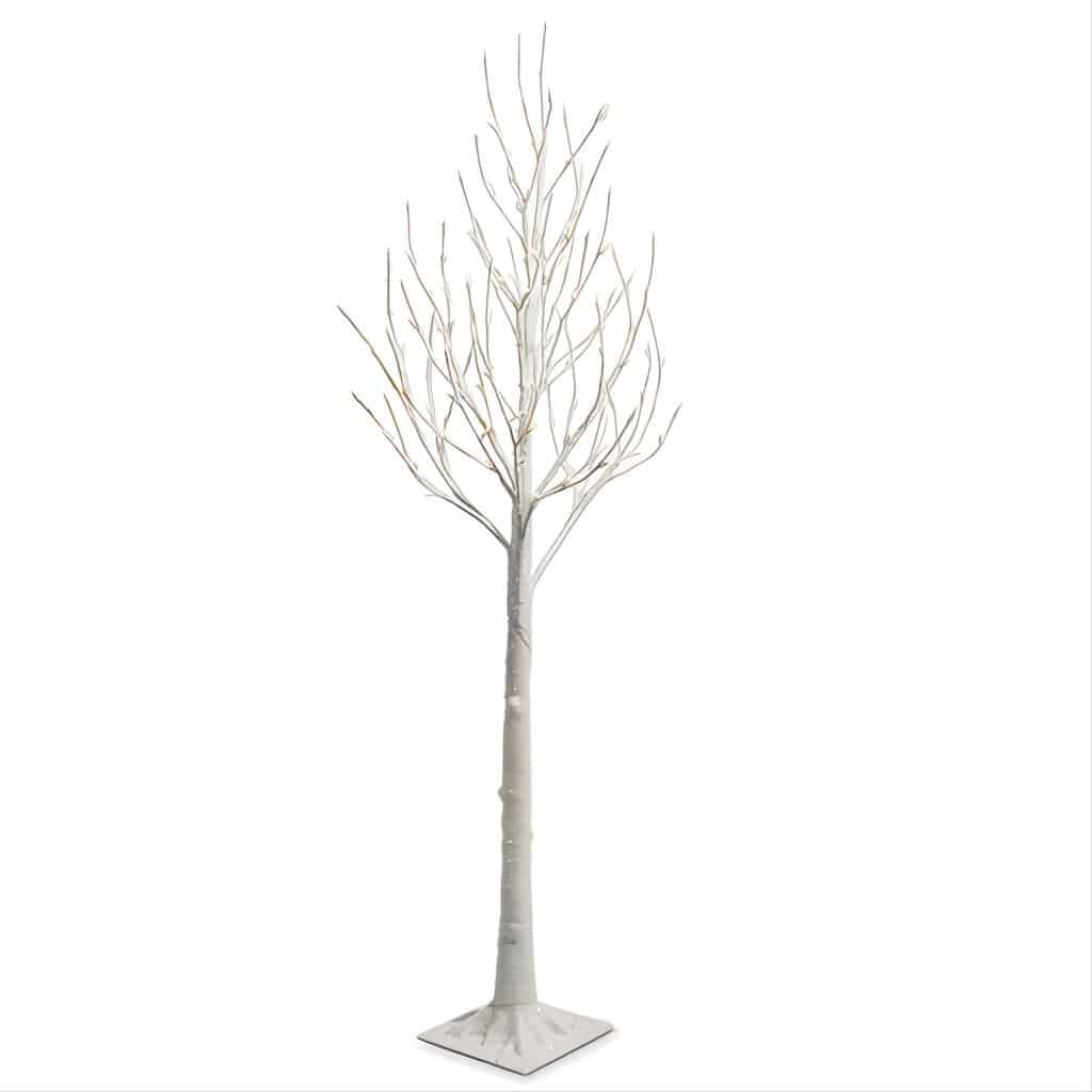 White Iced Twig Tree