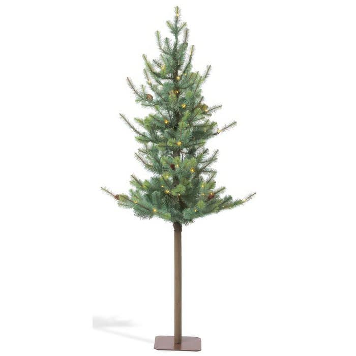 Blue Spruce Alpine Tree 6