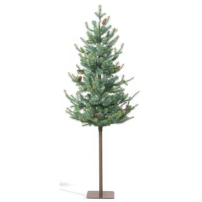 Blue Spruce Alpine Tree 7