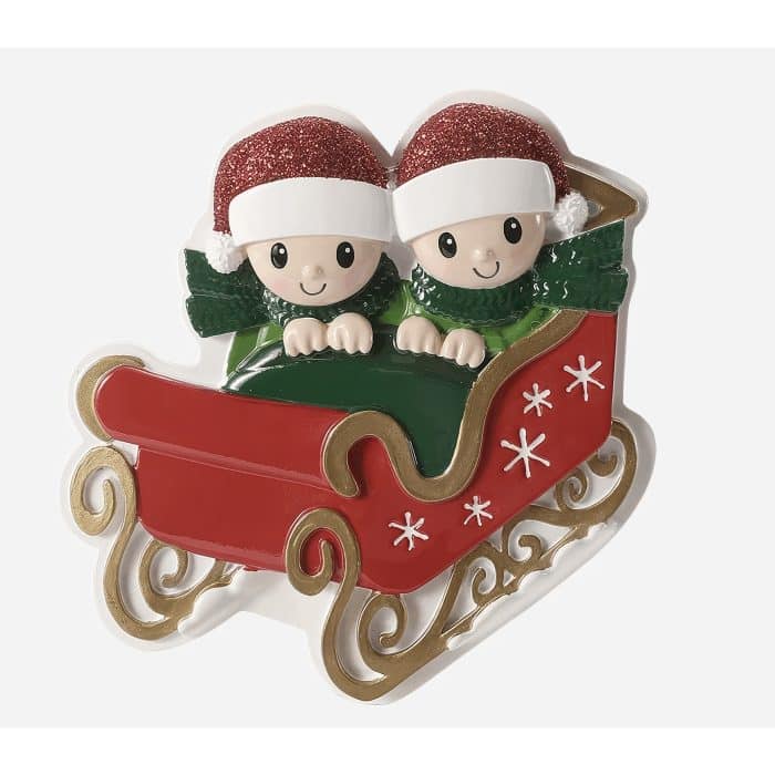 Couple Penguin Sleigh Personalize