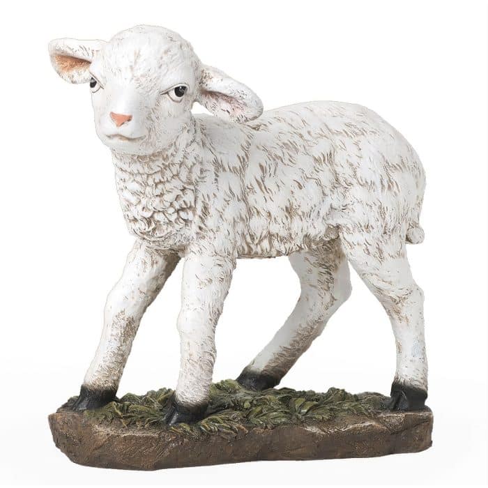 Nativity Scene Rich Color Large Scale Sheep