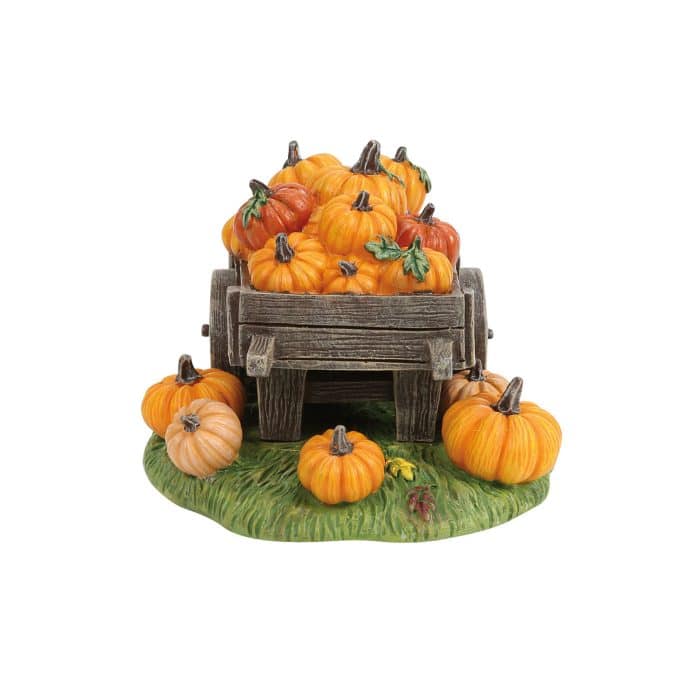 Hey There Pumpkin Snow Village D56 Back