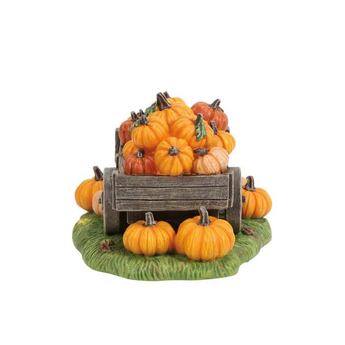 Hey There Pumpkin Snow Village D56 Front
