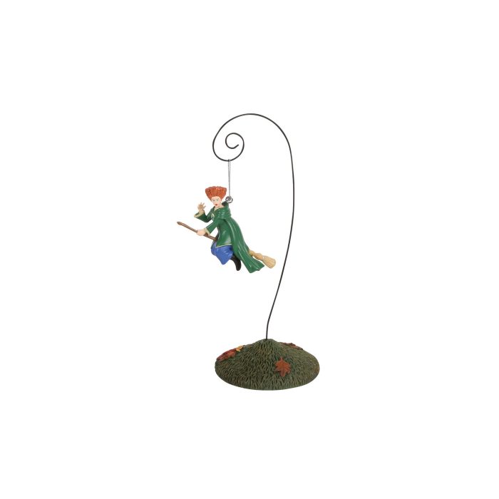on Modern Brooms Hocus Pocus Disney Winnie