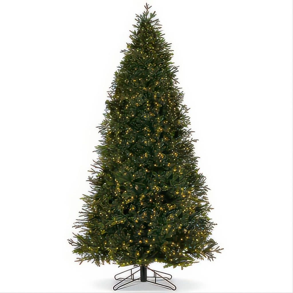 Carolina Fraser Fir Twinkle Christmas Tree
