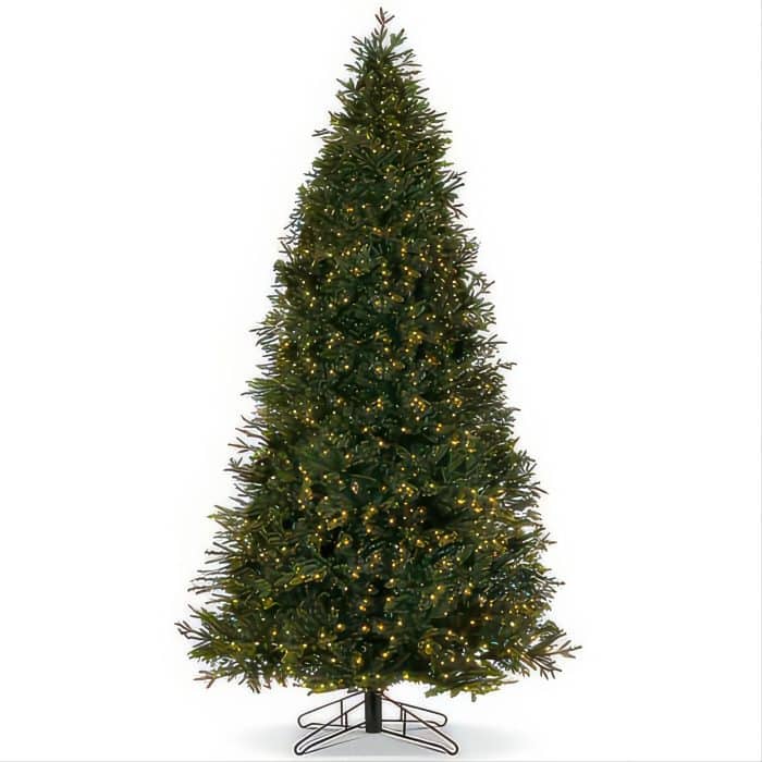 Carolina Fraser Fir Twinkle Christmas Tree